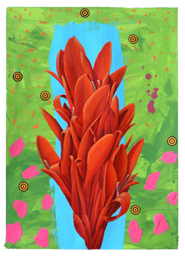 Scott McIntire Red Canna Lily During the Period of Covid-19