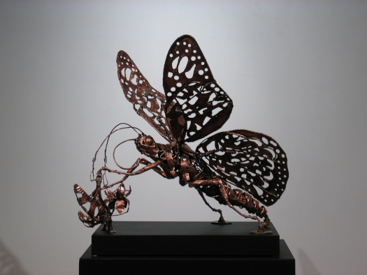 John Nativio American Monarch Butterfly