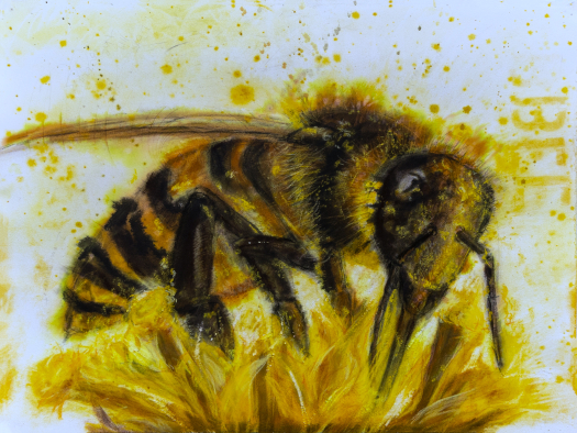 Judith Brandon Bee