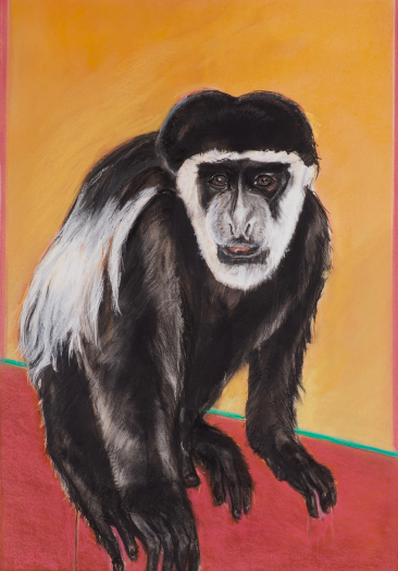 Judith Brandon Colobus Monkey / Patrick