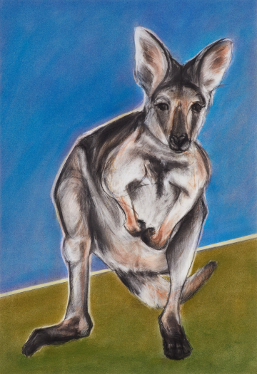 Judith Brandon Gray Roo Fight or Flight