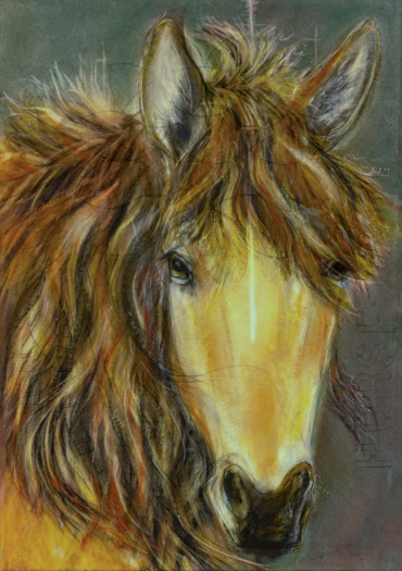 Judith Brandon Horse