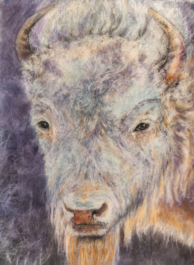 Judith Brandon Sacred Buffalo