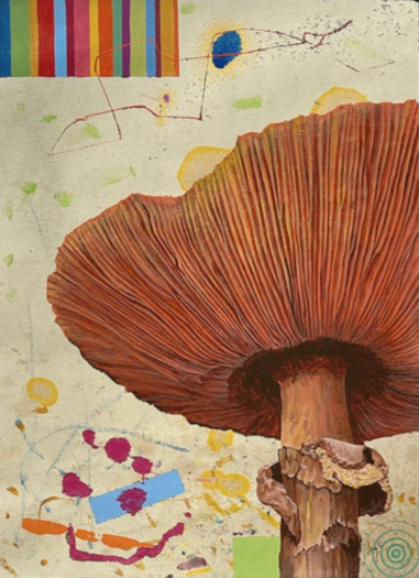 Scott McIntire Mushroom